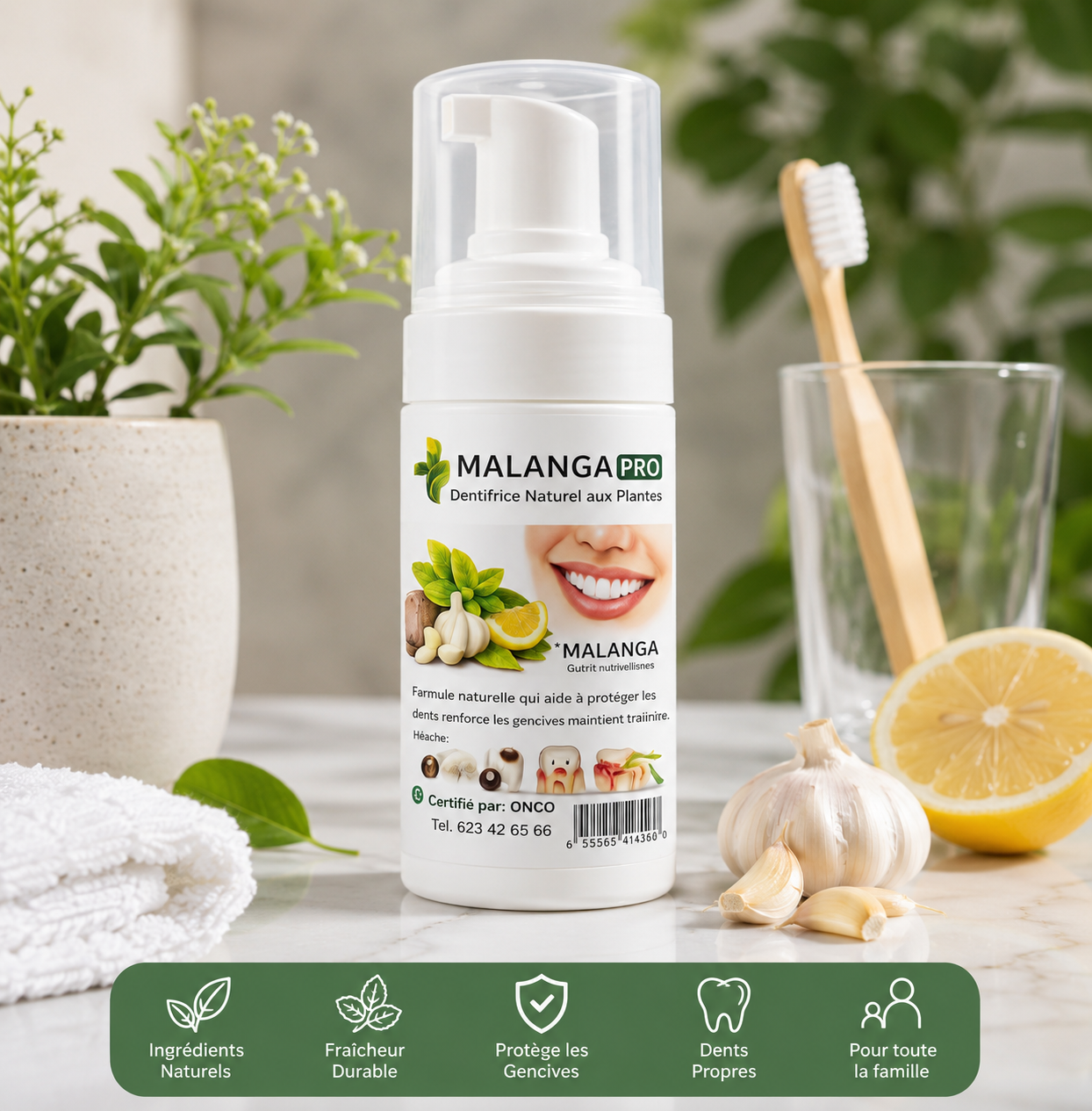 MALANGA PRO